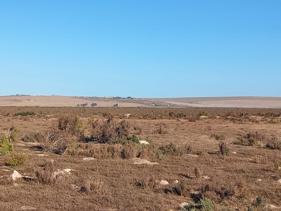 Commercial Property for Sale in Saldanha Rural Western Cape